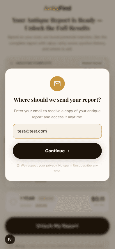 Web funnel screen