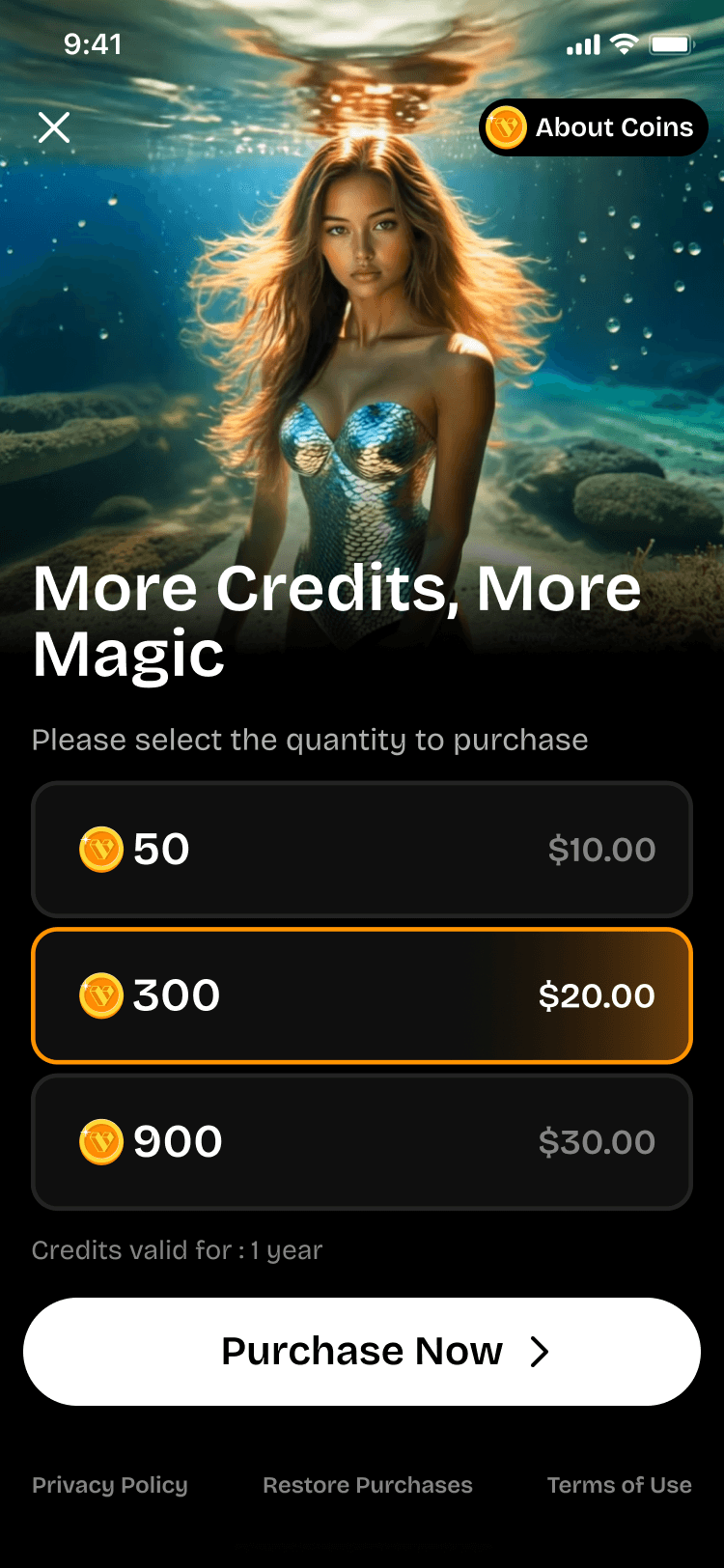 Coin store screen